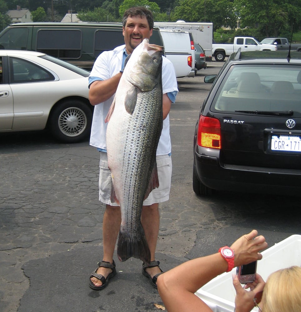 Light Tackle In Port Jefferson