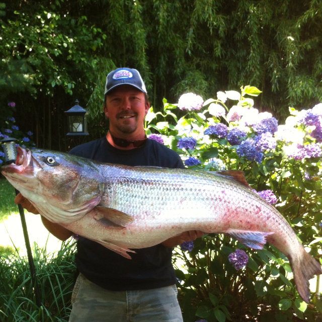 Light Tackle In Port Jefferson