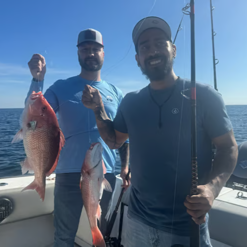 Snapper/ Bottom Trip In Orange Beach