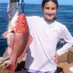 Snapper/ Bottom Trip In Orange Beach