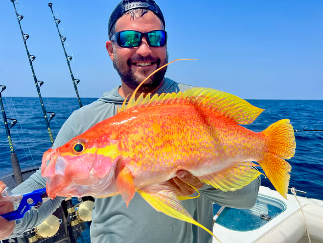 Snapper/ Bottom Trip In Orange Beach