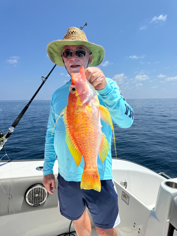 Snapper/ Bottom Trip In Orange Beach