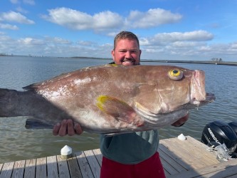 Snapper/ Bottom Trip In Orange Beach