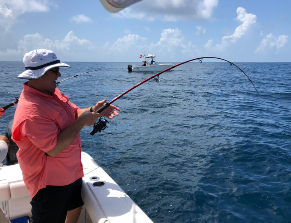 Nearshore Trolling/ Wildlife Viewing In Orange Beach