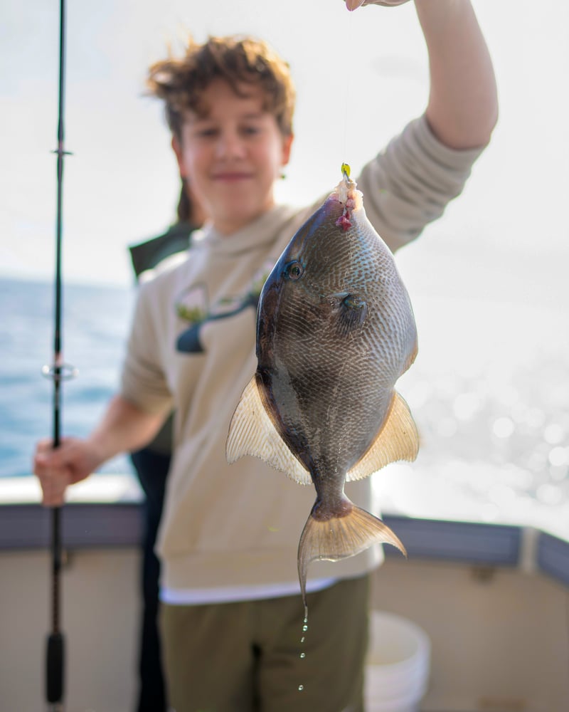 #1 Family-Friendly Sport Fishing In Pompano Beach