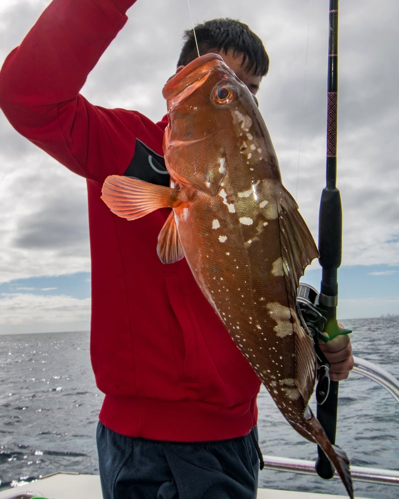 #1 Family-Friendly Sport Fishing In Pompano Beach