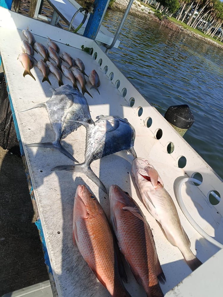 6 Hour Offshore (Up To 30 Miles) In Englewood