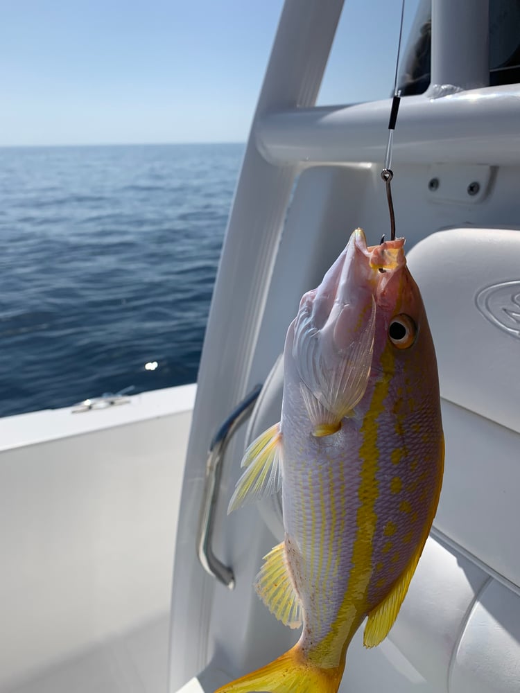 6 Hour Offshore (Up To 30 Miles) In Englewood