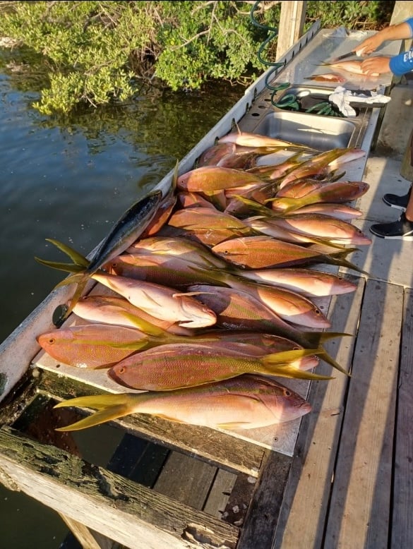 12 Hour Offshore (Up To 80 Miles) In Englewood