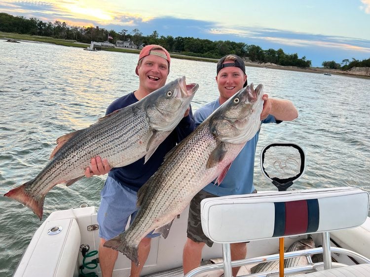 Trophy Striped Bass In Cohasset