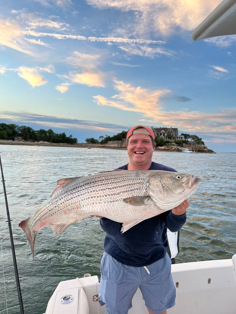 Trophy Striped Bass In Cohasset