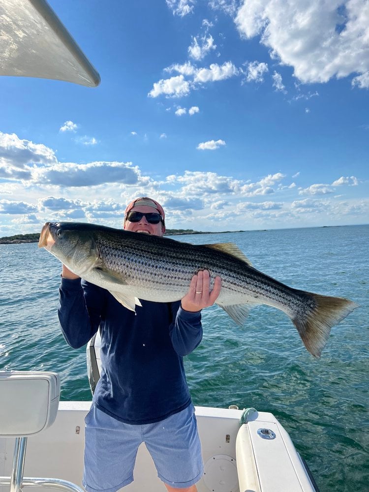 Trophy Striped Bass In Cohasset