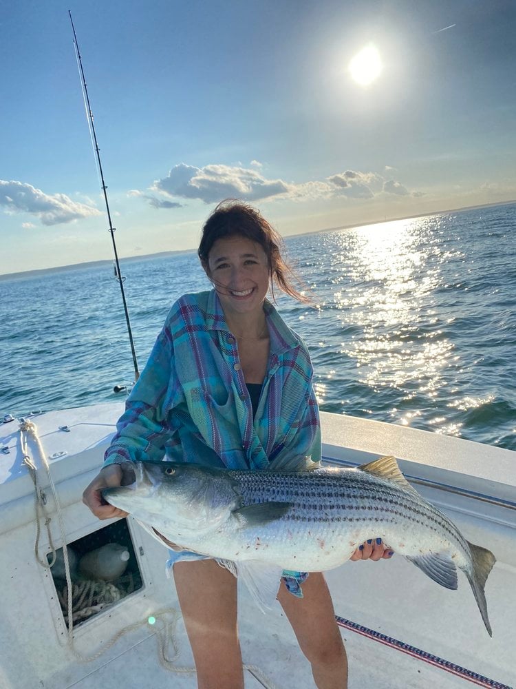 Trophy Striped Bass In Cohasset