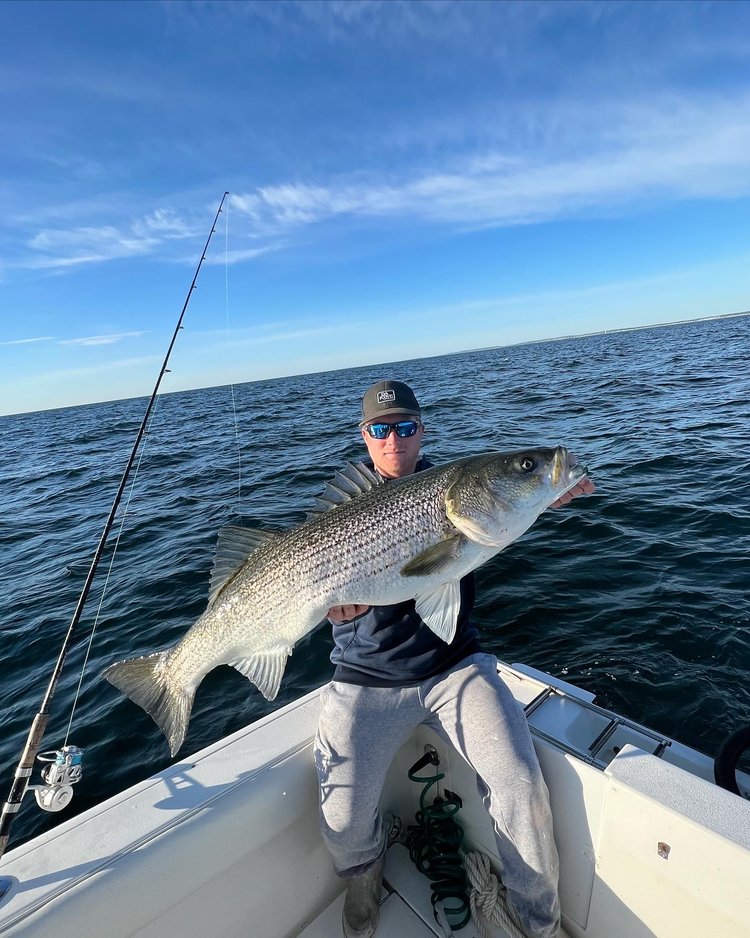 Trophy Striped Bass In Cohasset