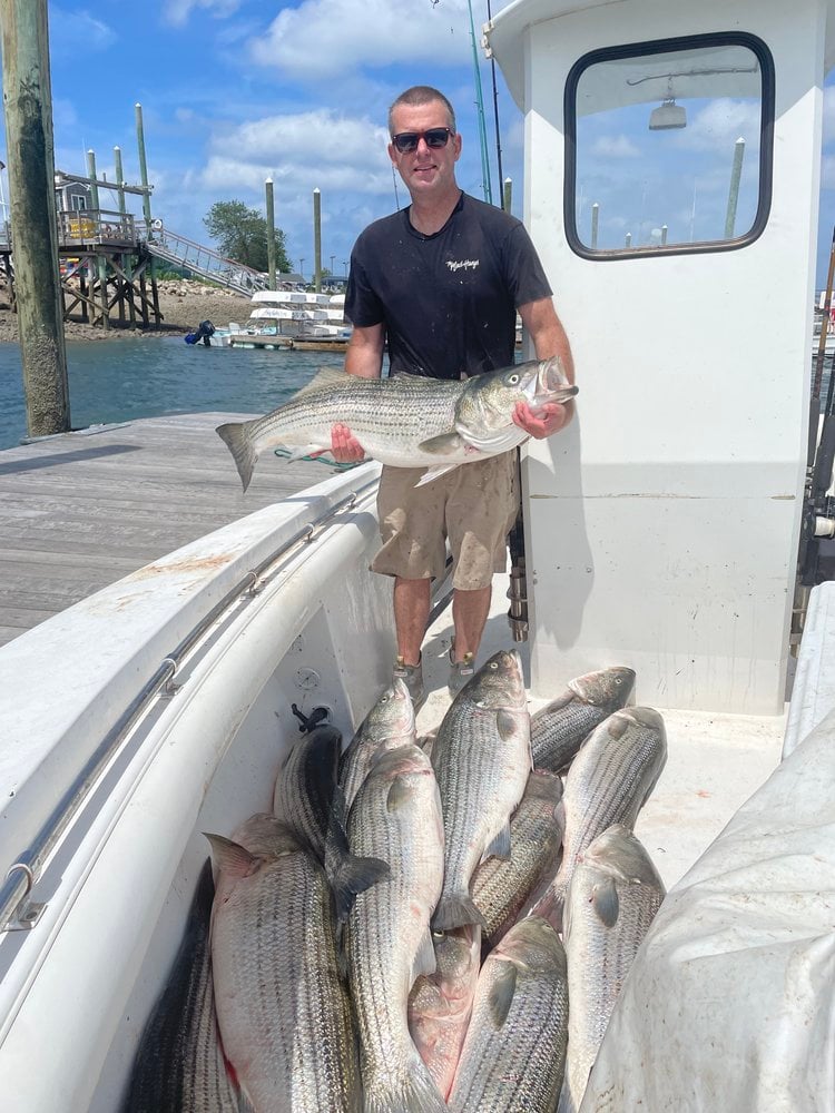 Trophy Striped Bass In Cohasset