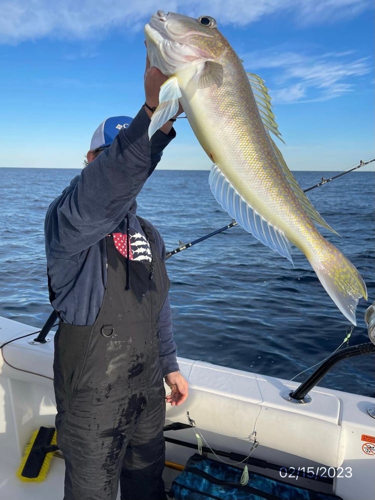 10 Hour Deep Sea Adventure In Port Aransas