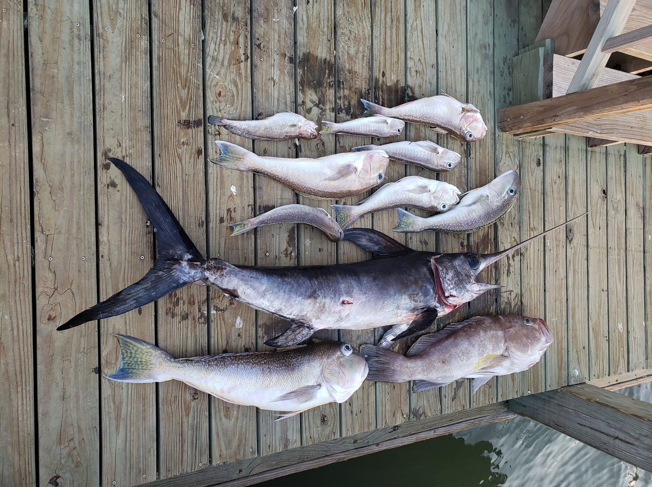 10 Hour Deep Sea Adventure In Port Aransas