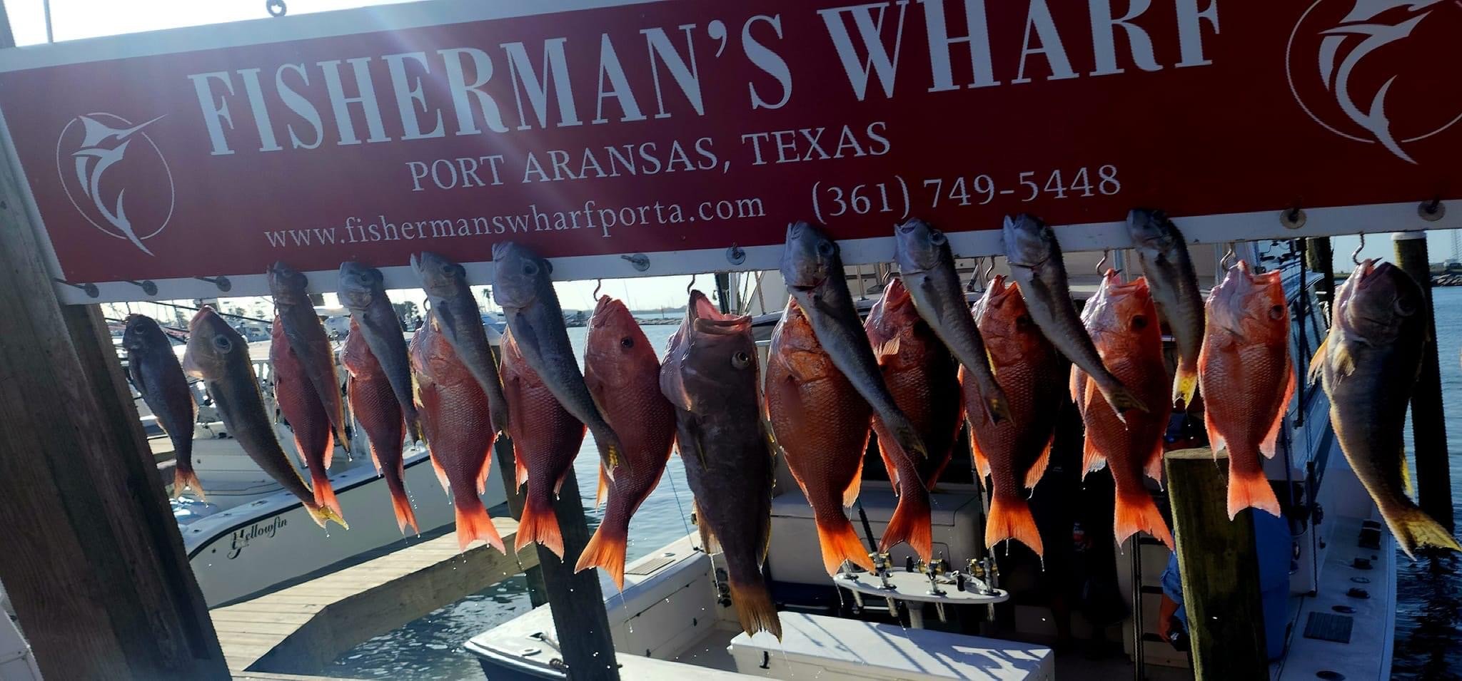 10 Hour Deep Sea Adventure In Port Aransas