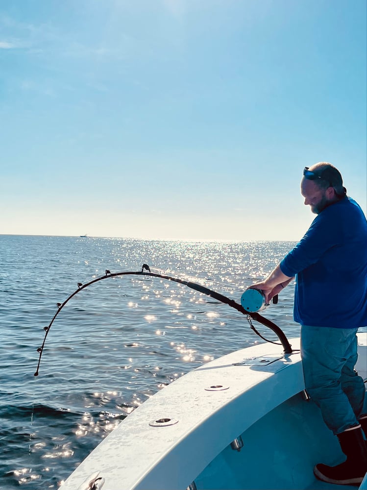 Hampton Bays Hour Inshore Trip In Hampton Bays