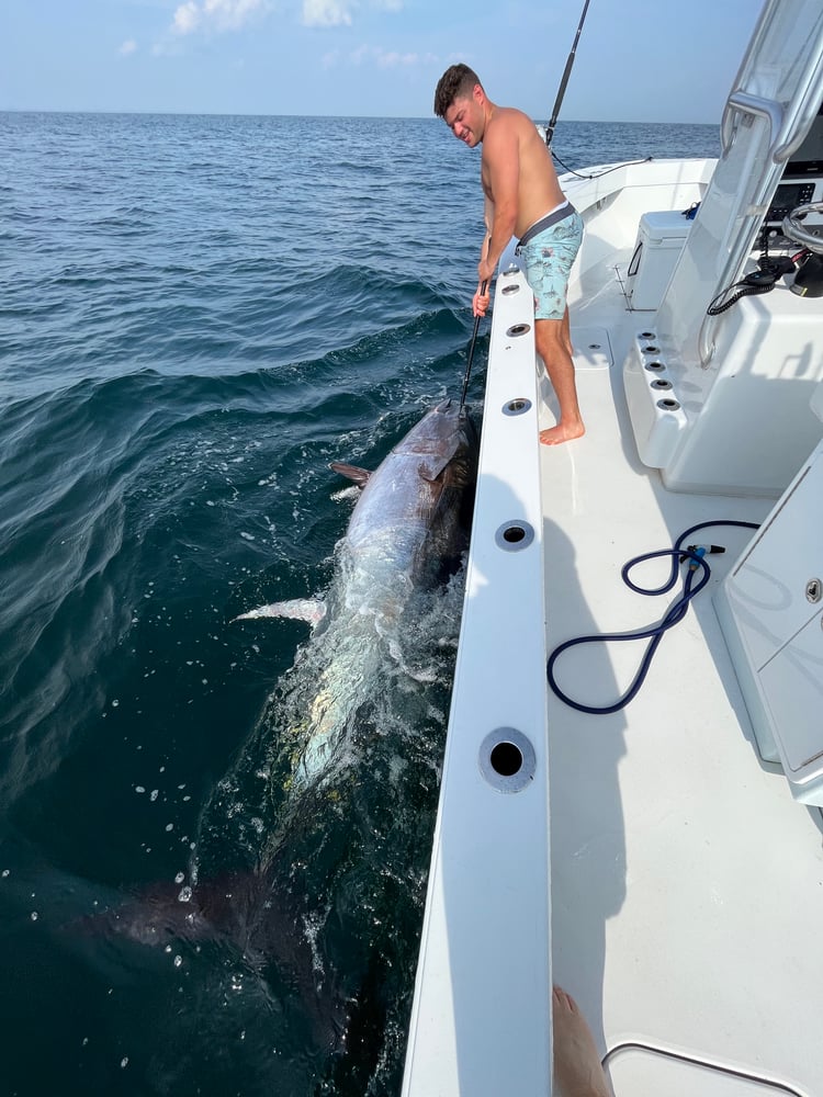 12 Hour Offshore Trip In Hampton Bays