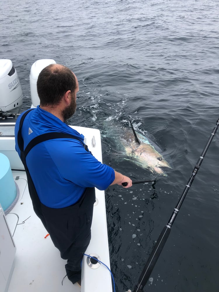 12 Hour Offshore Trip In Hampton Bays