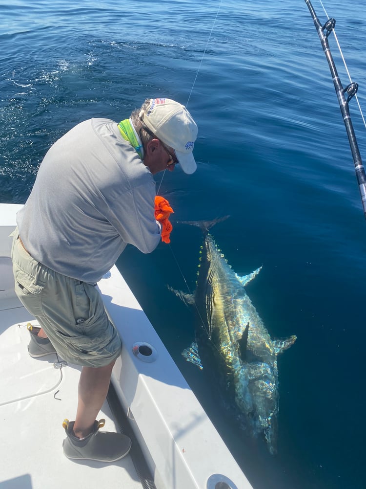 12 Hour Offshore Trip In Hampton Bays