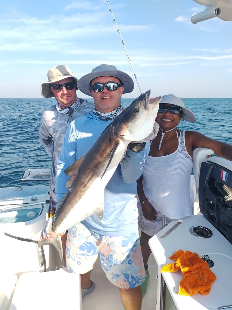 4 Hours Fishing Trip In Sarasota