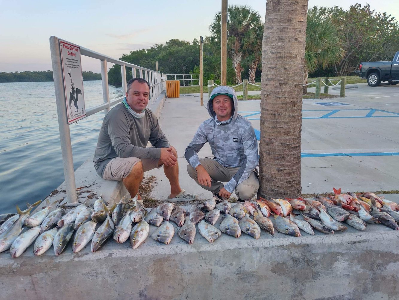 4 Hours Fishing Trip In Sarasota