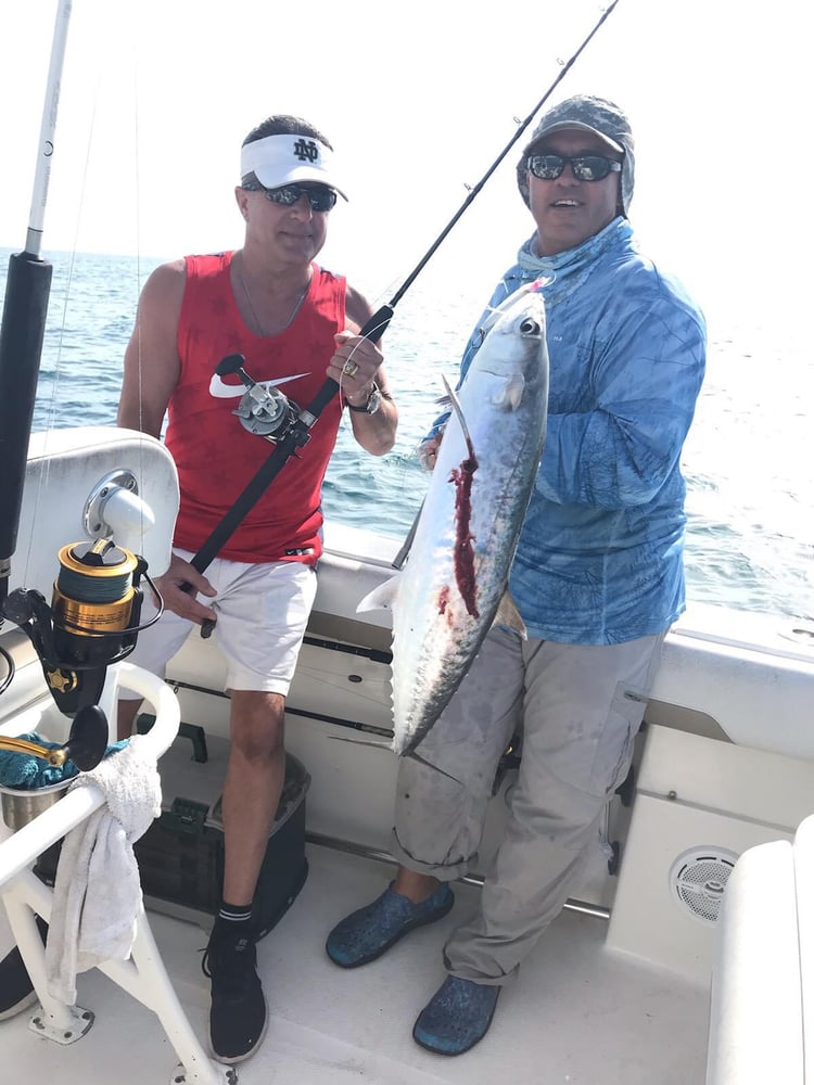 4 Hours Fishing Trip In Sarasota