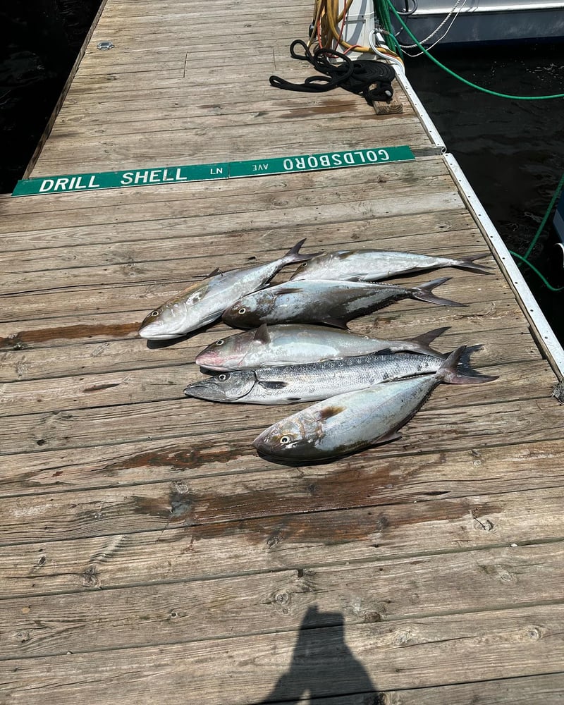 Nearshore Half Day In Carolina Beach