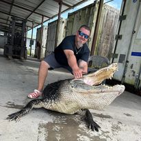 Notch Your Tag - Public Land Alligator In Cape Coral