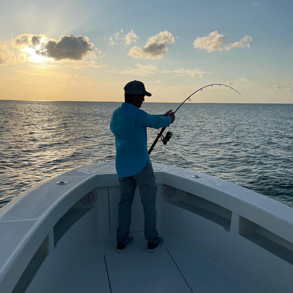 Tarpon Trips In Marathon