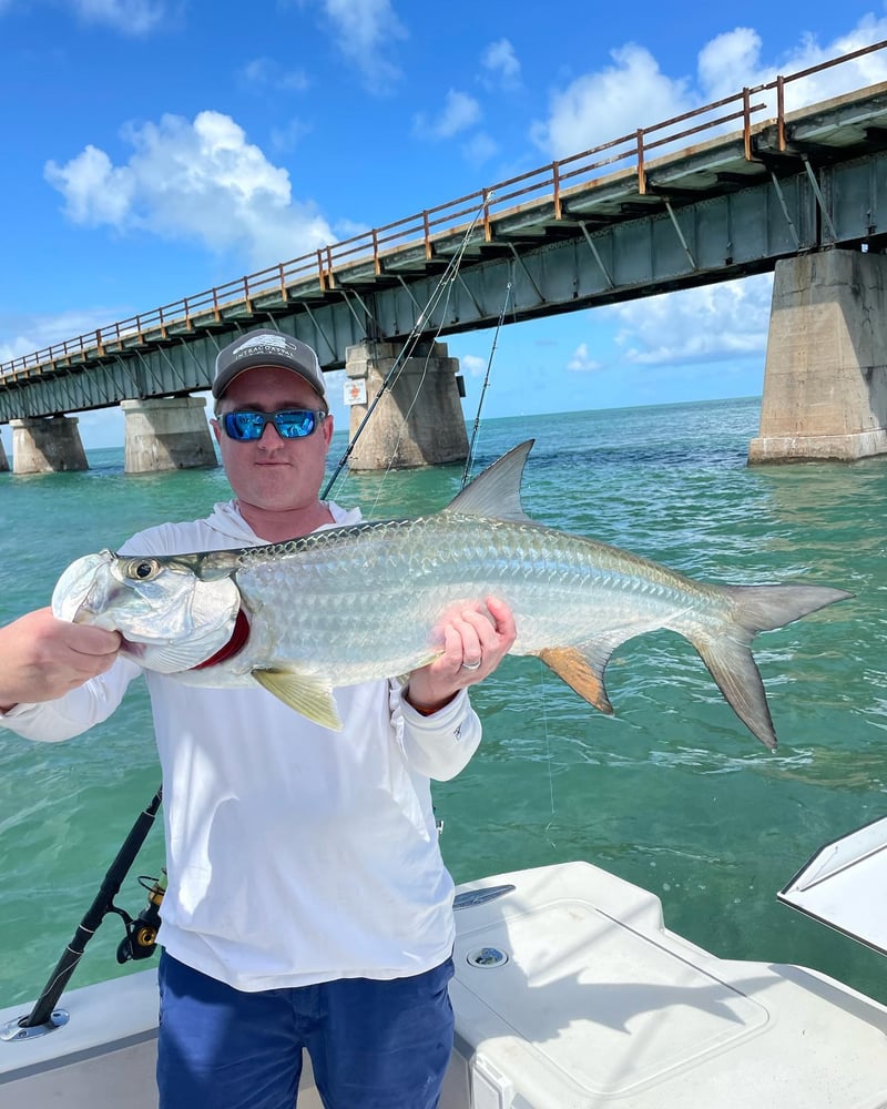 Tarpon Trips In Marathon