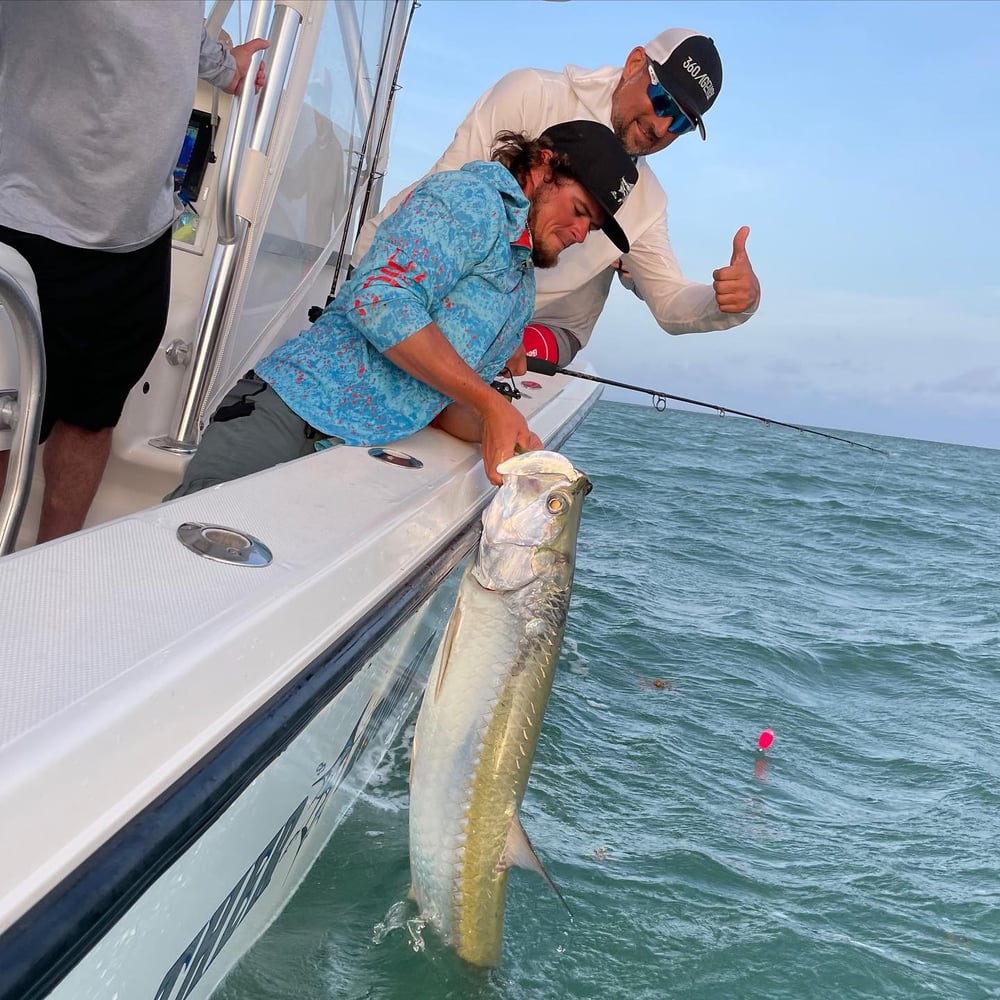 Tarpon Trips In Marathon