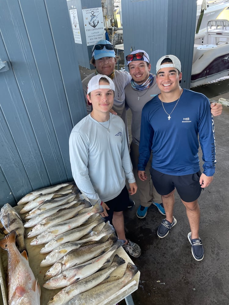 Bay/Jetty In Galveston