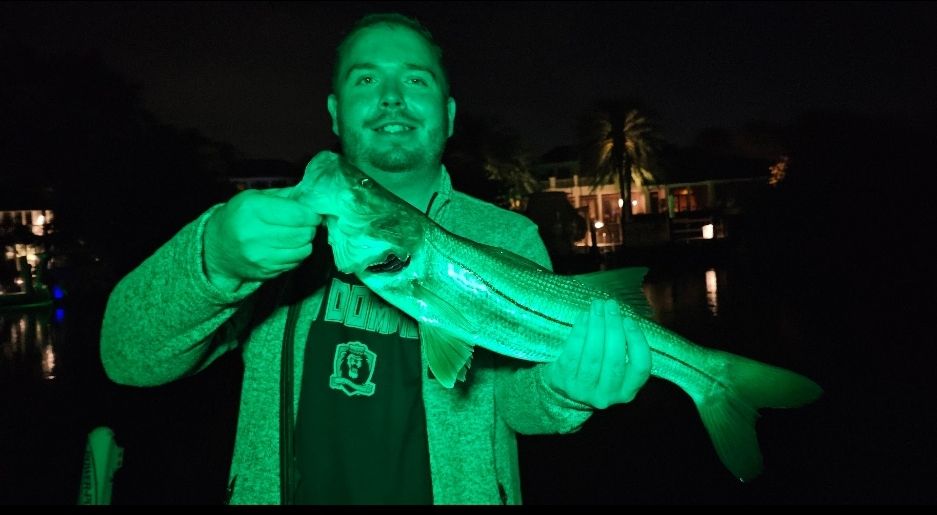 Night Fishing In Naples