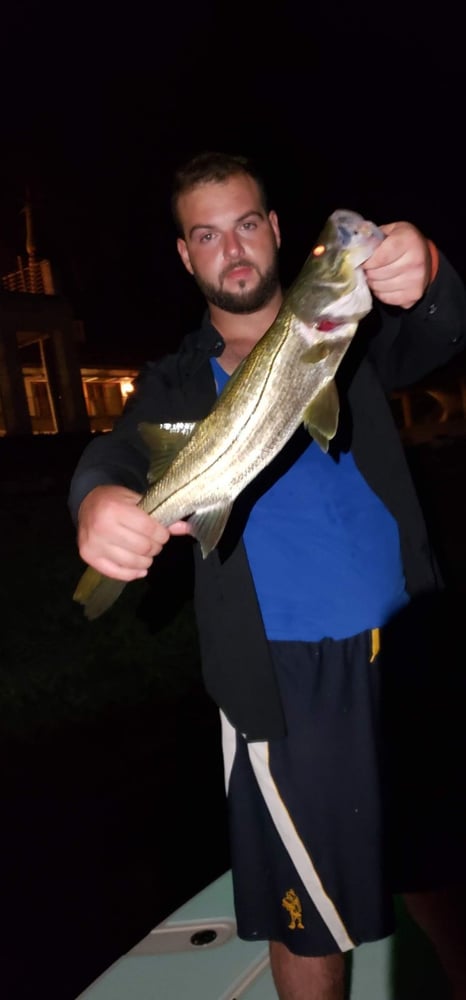 Night Fishing In Naples