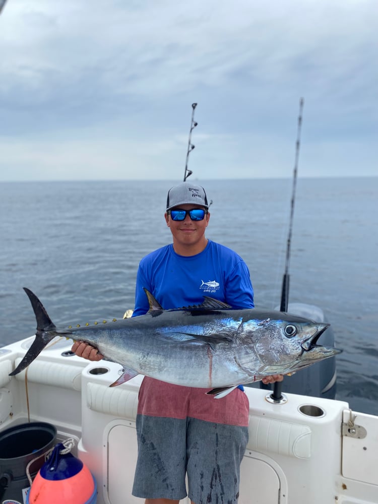 Bluefin Tuna In Harwich