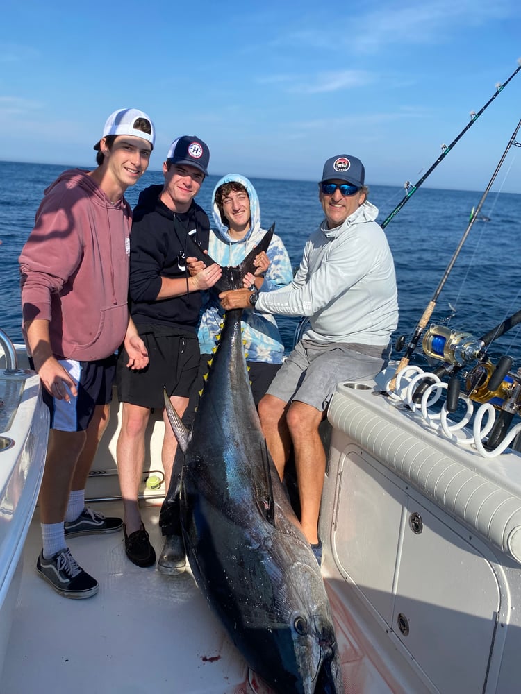 Bluefin Tuna In Harwich