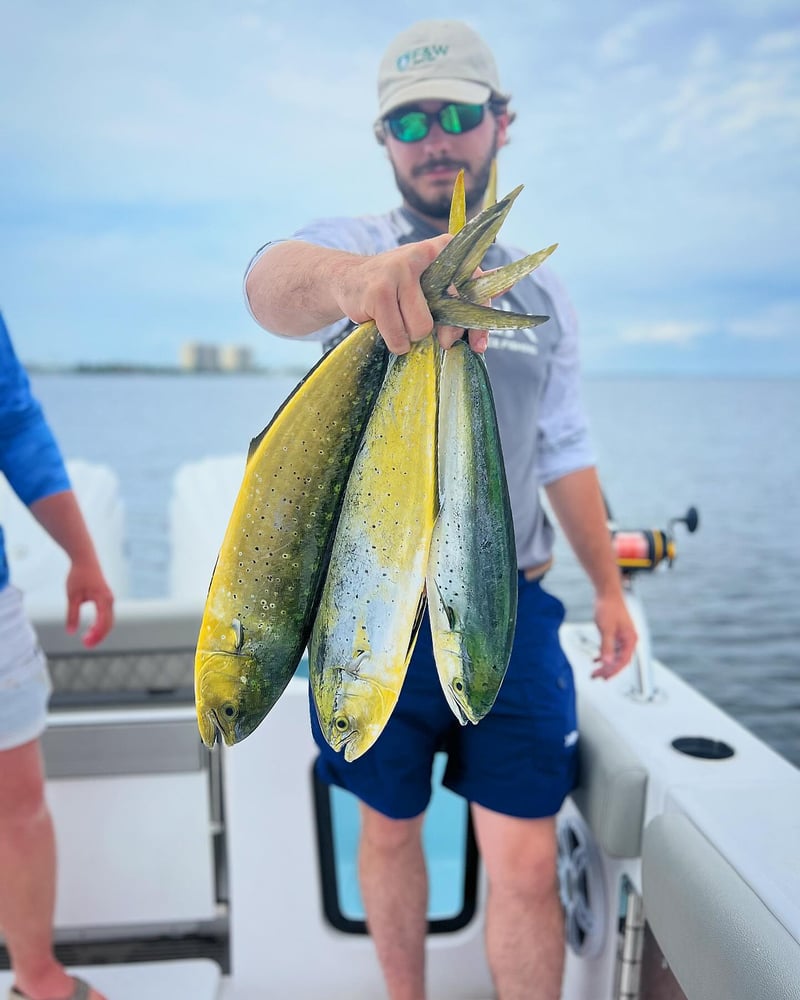 4-Hour Offshore Fishing In Panama City Beach