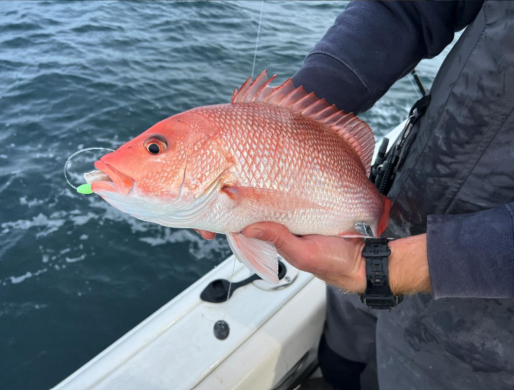 4-Hour Offshore Fishing In Panama City Beach