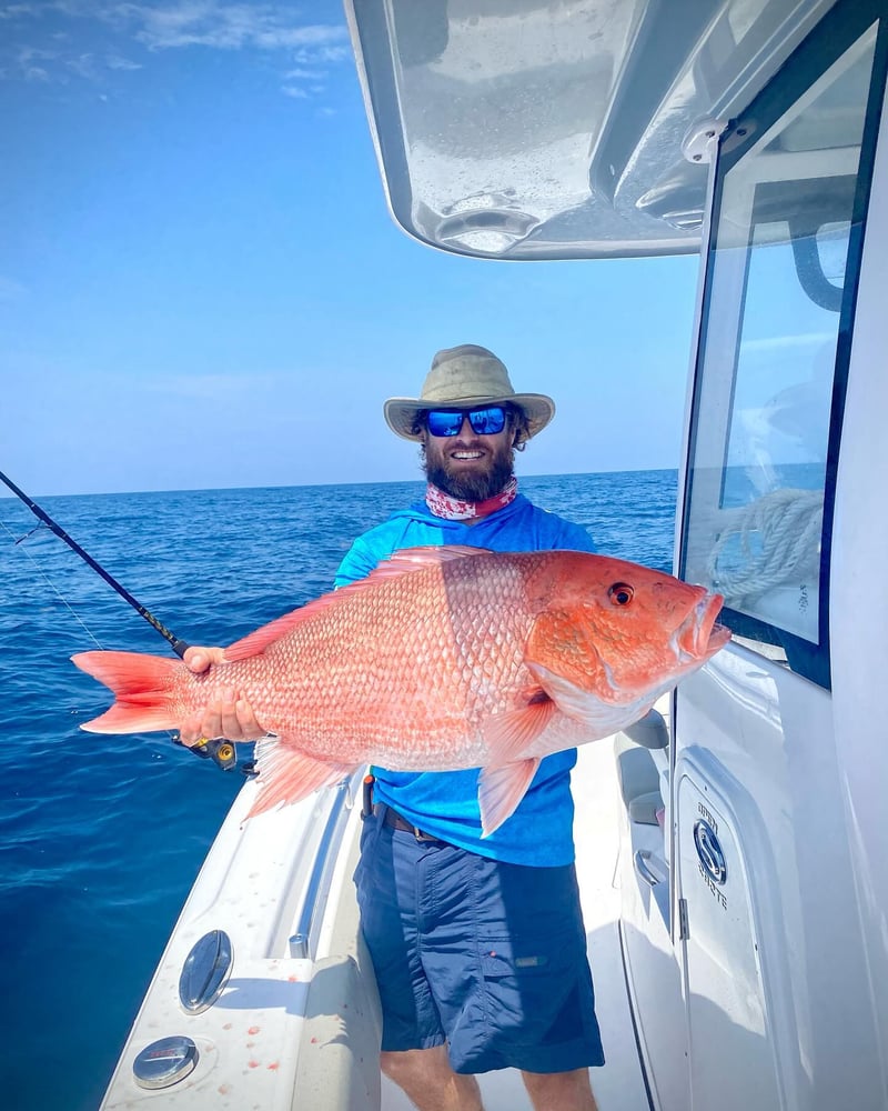 4-Hour Offshore Fishing In Panama City Beach