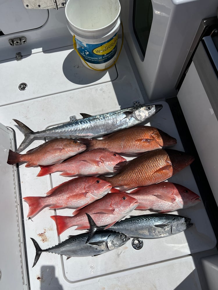 4-Hour Offshore Fishing In Panama City Beach