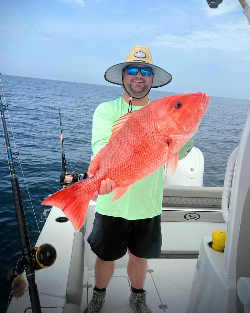 4-Hour Offshore Fishing In Panama City Beach