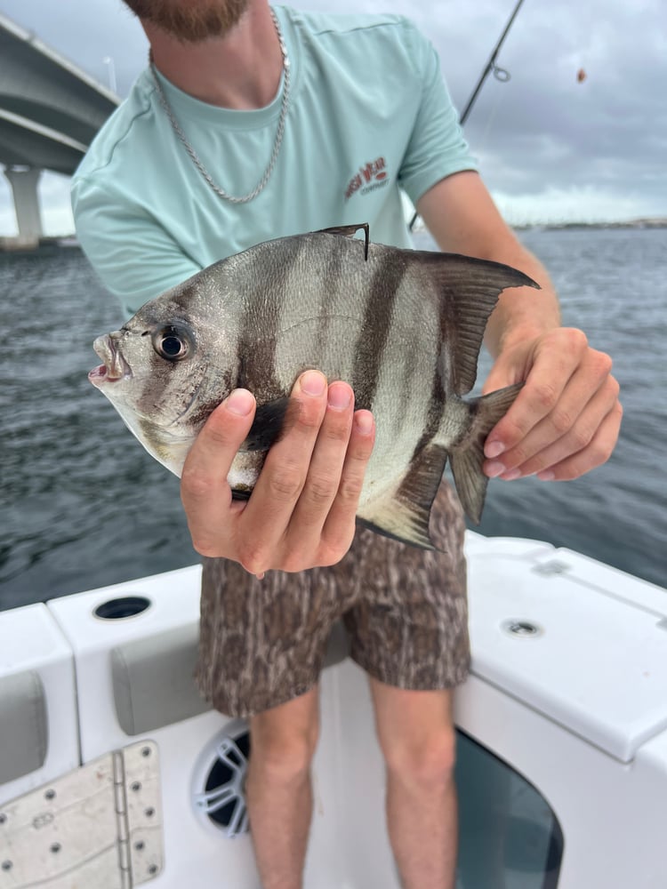 4-Hour Offshore Fishing In Panama City Beach