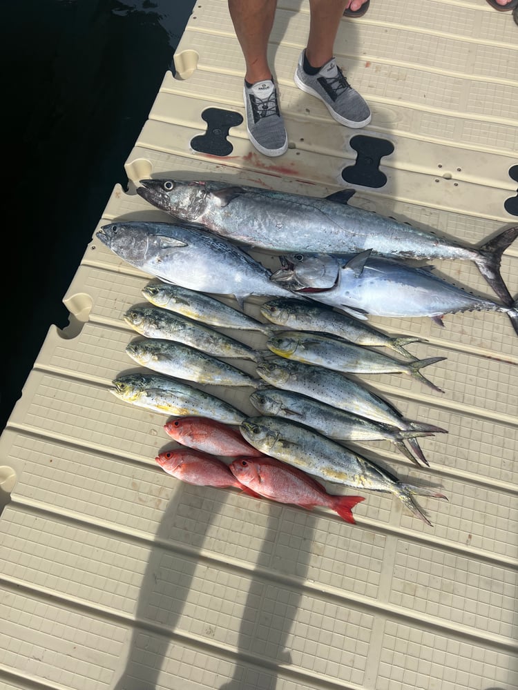 4-Hour Offshore Fishing In Panama City Beach