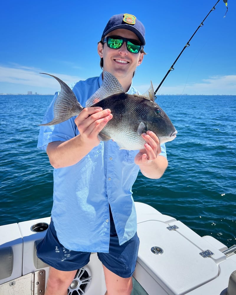 4-Hour Offshore Fishing In Panama City Beach