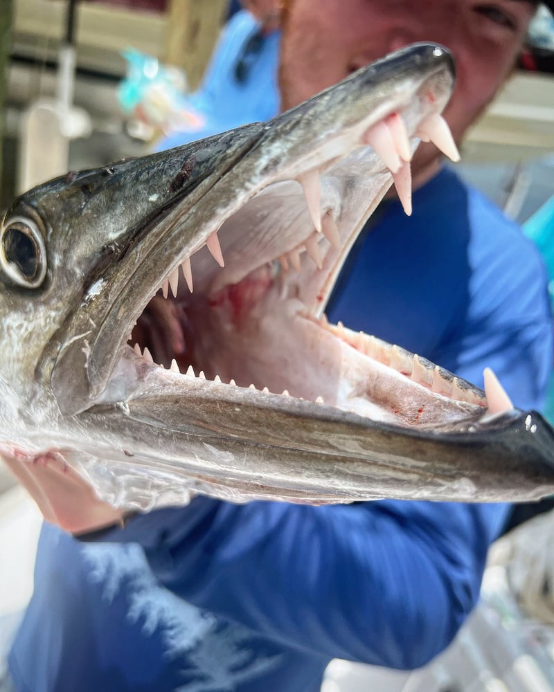 4-Hour Offshore Fishing In Panama City Beach