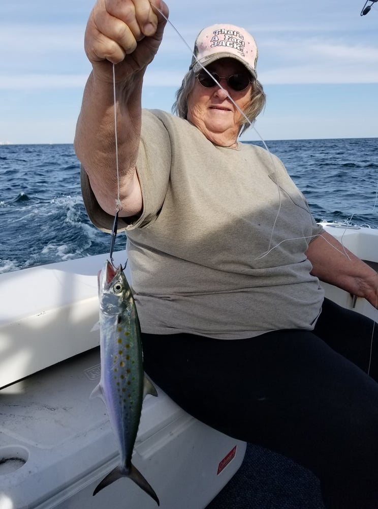 Four Hour Trolling Trip In Orange Beach