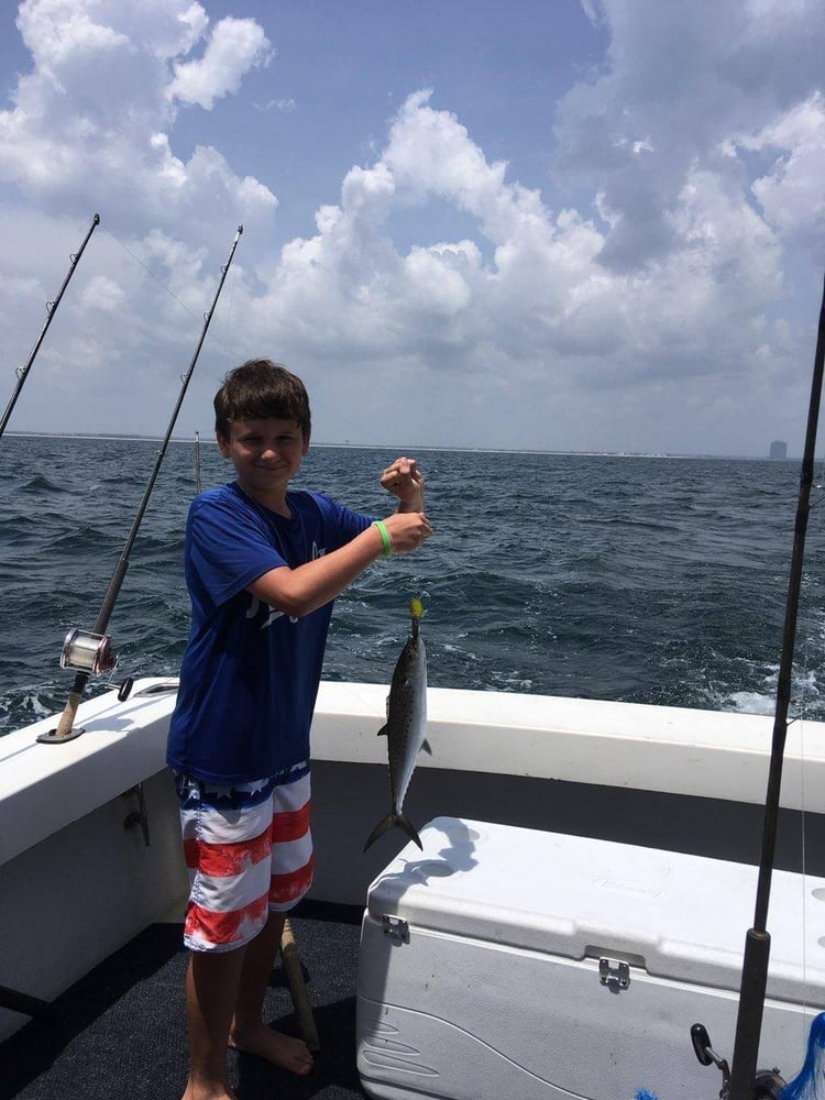 Trolling Or Bottom Fishing Orange Beach In Orange Beach